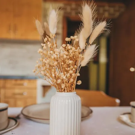 Kraftplatz Katschberg - Martina Aigner Apartament *