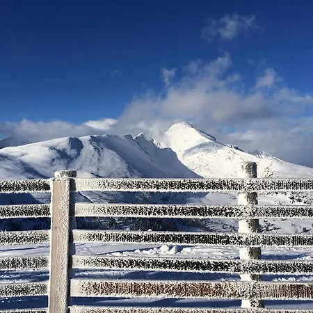 Kraftplatz Katschberg - Martina Aigner *